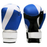 CS-117 Boxing Gloves