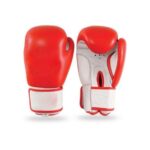 CS-121 Boxing Gloves